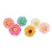 Yaruie Pack of 12 Pairs(2boxes) Daisy Ear Stud Earrings Bulk Multicolor