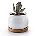 T4U 2.75 Inch Ceramic White Jar Shape Design Succulent Plant Pot/Cactus Plant Pot Flower Pot with Free Bamboo Tray/Container/Planter White