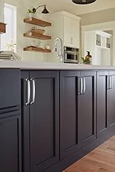 Amerock | Cabinet Pull | Polished Chrome | 6-5/16