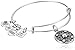 Alex and Ani Wings of Change Expandable Rafaelian Silver Bangle Bracelet