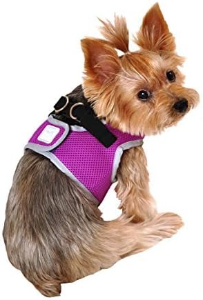 SimplyWag Dog Body Harness, Neon Purple w Reflective Trim, Medium by SimplyWag