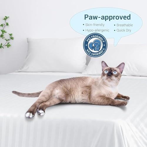 Elegear Couverture Rafraichissante d'été, Fibre de Refroidissement Arc-Chill 3.0 Japonaise Q-Max>0,5 Double Face Absorber Chaleur Corporelle Couverture Ete Légère pour Lit canapé, Blanc Rayé 200x220cm
