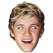 Niall Horan High Quality Cardboard Mask-One Direction
