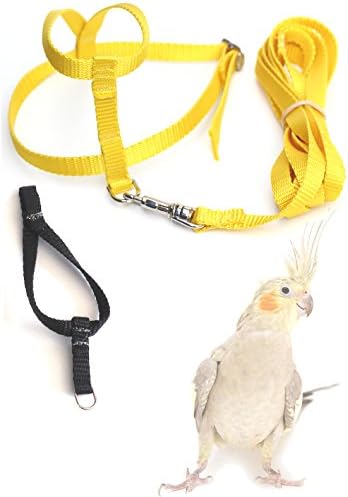 Fred Bird Harness &amp; Leash with additional larger TRAINING Head Loop