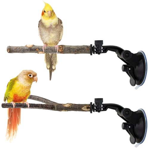 Niuohoy Parrot Perch Stand Set