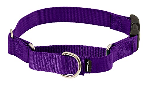 PetSafe Martingale Collar with Quick Snap Buckle, 3/8" Petite, Deep Purple