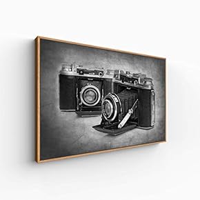 Canvas Wall Art for Living Room, Bedroom Black and White Article Framed Canvas Prints for Home Decoration Ready to Hang - 16x24 inches