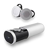 True Wireless Bluetooth Earbuds, Mini In-ear Headphones, Dual Stereo Noise Cancelling Earphones, Sweatproof Sports Headset with Charging Case and Mic, for iphone Samsung and more by Pantheon (Silver)