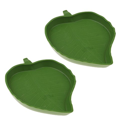 image for Baosity 4Pcs Shallow Reptile Amphibians Food and Water Dish Small Pets
