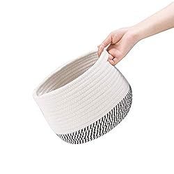 TerriTrophy 2pc Large Woven Storage Basket with