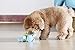 Durable Dog Squeaker Toys for Aggressive Chewers Boredom Small Dogs (Blue Hippo)