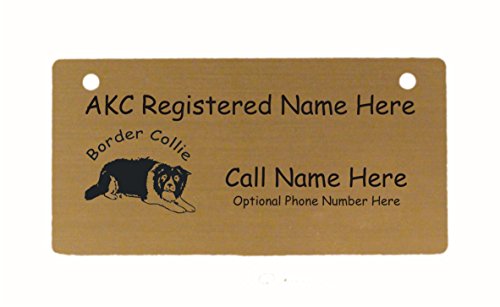 C1870 Border Collie Crouching 2 Crate Tag Personalized with Your Dog's Name