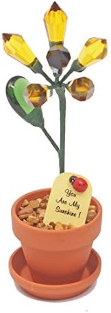 perfect present for wife