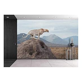 Wild African Cheetah, Beautiful Mammal Animal. Africa, Kenya - Removable Wall Mural | Self-Adhesive Large Wallpaper - 66x96 inches