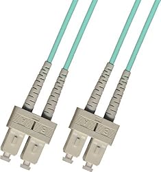 1 Meter OM3 10 Gigabit Multimode Duplex Fiber Optic