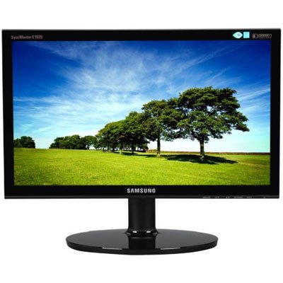 Samsung E1920X 19 LCD Monitor 5 ms - Adjustable Display Angle - 1360 x 768 - 16.7 Million Colors - 250 Nit - 1000:1 - DVI - VGA - Glossy Black