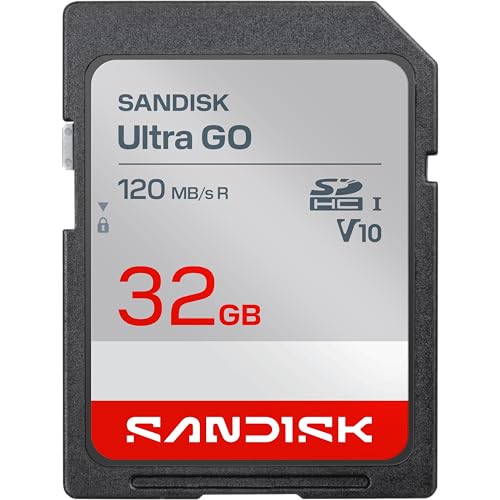 SanDisk Class 10/UHS-I SDHC