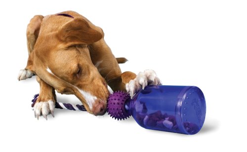 PetSafe Busy Buddy Tug-A-Jug Meal Dispensing Dog Toy, Medium/Large