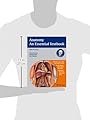 Anatomy - An Essential Textbook: An Illustrated Review (Thieme Illustrated Review Series)