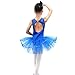 TFJH Kids Little Girls' Ballet Flower Lace Sleeveless Dress Leotard Tutus
