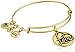 Alex and Ani Love III Expandable Rafaelian Gold Bangle Bracelet