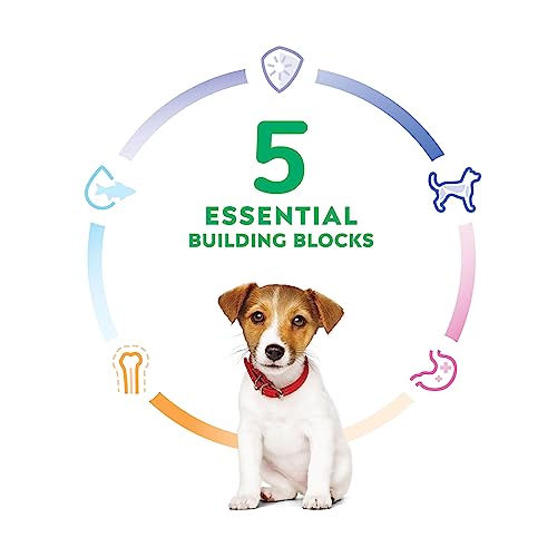 Hill's Science Diet Puppy Small Bites Chicken & Brown Rice Recipe Dry