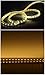 CBConcept UL Listed, 10 Feet,Super Bright 2700 Lumen, 3000K Warm White, Dimmable, 110-120V AC Flexible Flat LED Strip Rope Light, Commercial Grade, Indoor Outdoor use, Ready to plug n shine