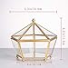 NCYP Small Geometric Vintage Glass Jewelry Box, Gold Succelent Plants Terrarium with Swing Lid, Pentagon Shape Clear Metal Brass Display Planter for Wedding Decoration (No Plants, Terrarium Only)
