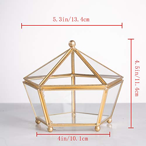 NCYP Vintage Decorative Jewelry Chest Geometric Terrarium Window Box Storage Display Case Pentagon Shape Clear Glass and Brass Tone Air Plant Planter Geo Metal Slanted Top Swing Lid