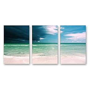 SIGNFORD 3 Piece Canvas Wall Art for Living...