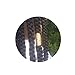 Light Weight 3 Piece Gold Jata Dreadlock Bead Loc Jewelry Braiding Hair Jewelry Cuff Braid Sleeve Dress Your Tress