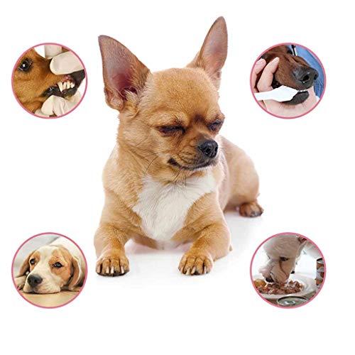 Jeeke Pet Teeth Breath Cleaning Freshener Dog Cat Dental Spray Care Cleaner Natural Tooth Cleaning Solution Fresh Breath (Multicolor)