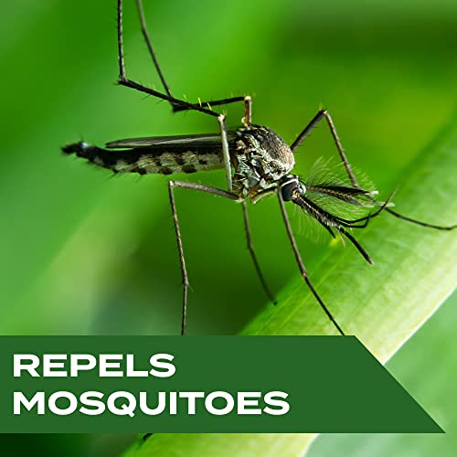 STEM REPELS MOSQUITOES: MOSQUITO REPELLENT SPRAY WITH BOTANICAL EXTRACTS; 4 FL OZ (PACK OF 1)