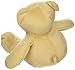 Healthy Baby Asthma and Allergy Buddy Bear Stuffed Animal, 9.5