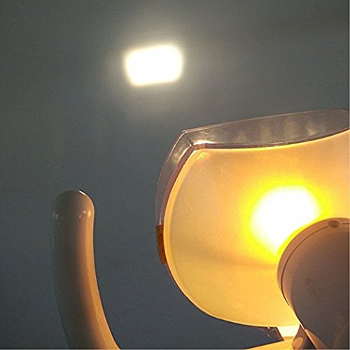 Science Lab Education Support Dental Halogen Lamps, Daylight Oral Lamps, Dental Equipment, Dental Chair Accessories, Dental Chair Oral Examination Lights 22mm
