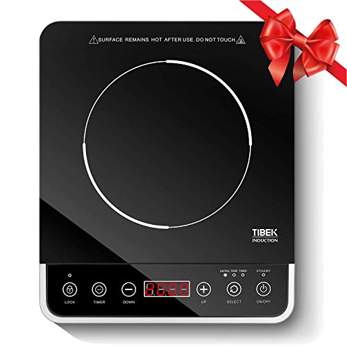 Portable Induction Cooktop, 1800W Countertop Burner Cooker with 10 Power Levels, 180 Minutes Timer, 3 Safety Lock, Wear Resistance (Security,ETL Approved)
