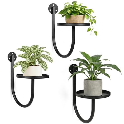 SUNCKET Wall Plant Holders for Indoor Plants, 3 Pack Black at Amazon