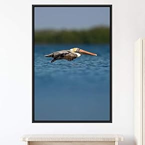 signwin Framed Canvas Wall Art Flock of Birds...