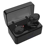 Wireless Earbuds, RyuGo Dual True V4.2 Bluetooth Headphone with Mic and Charging Case Sweatproof Mini Earphones Earpieces In Ear Air Headsets for iPhone Samsung Smart Phones (Couple)