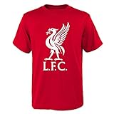 Outerstuff English Premiership Liverpool Mohamed Salah Name and Number Short Sleeve Tee, Red, Youth Large (14-16)