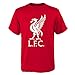 Outerstuff English Premiership Liverpool Mohamed Salah Name and Number Short Sleeve Tee, Red, Youth Large (14-16)