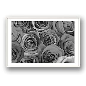 Framed Canvas Wall Art for Living Room, Bedroom Rose Flowers Canvas Prints for Modern Home Decoration Ready to Hang - 16"x24" inches