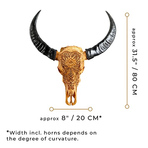Skull Bliss Authentic Real Taxidermy HandCarved Buffalo Skull