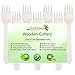 Disposable Wooden Forks - 100 Piece Total - 6