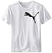 PUMA Big Boys' Big Cell Dry T-Shirt