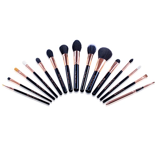 Party Queen Signature Quality 15Pcs Makeup Brush Set Kit Silky Density