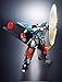 TAMASHII NATIONS Bandai Super Robot Chogokin GAO FIGH GAR GAO GAI GAR Action Figure