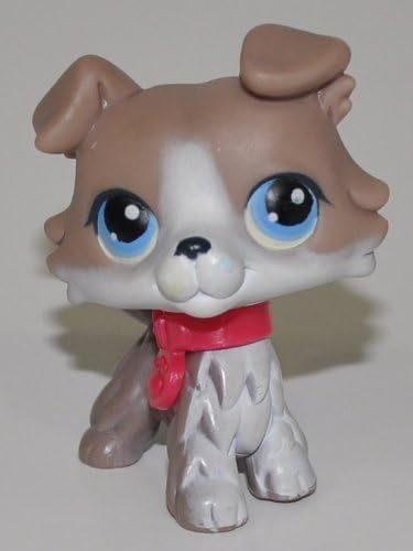 lps collie 67