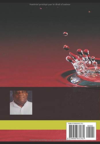 Multinationales et Croissance en Haiti: Experience de la Sous-Traitance (French Edition)