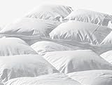 Highland Feather Manufacturing 64-Ounce Santiago Goose Feather Duvet, Queen, White